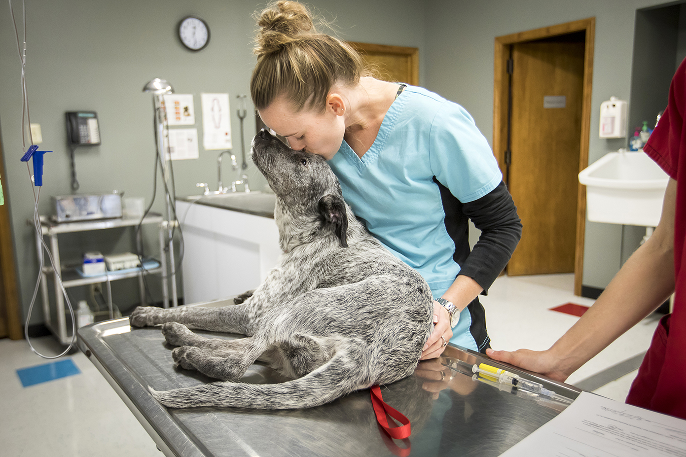 PetSuites opening in Baton Rouge, adding to growing pet-grooming market