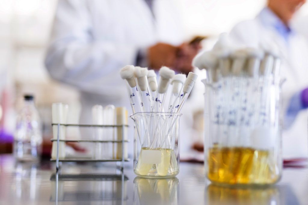 ExxonMobil presses on after other oil giants drop green algae as biofuel