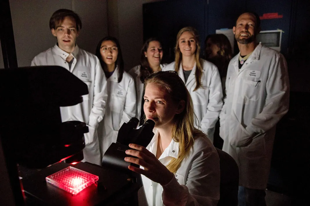 Elizabeth Martin, cancer research, 11.29.18 LSU breast cancer research