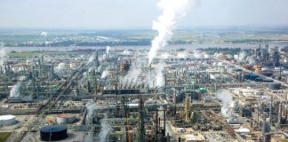 Stanford Group Exxon People