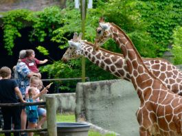 BREC targets early May hire for new superintendent