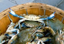 The seafood industry’s empty net syndrome impacting restaurants