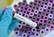 Virus roundup …