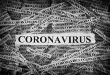 Virus roundup …