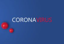 Virus roundup …