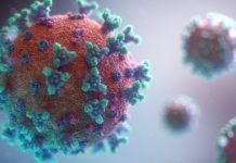 Virus roundup …