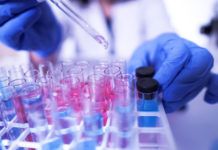 Virus roundup …