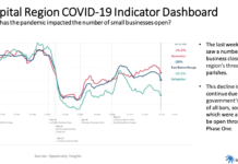 BRAC dashboard shows decline in business revenues