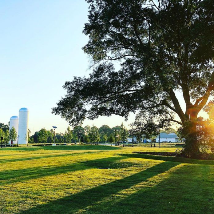 Tommy Spinosa’s plans for lot in Rouzan raising concerns from neighbors