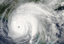 Virus and hurricane recovery roundup …