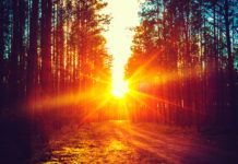 Almost half of Louisiana residents consider themselves ‘survivalists’