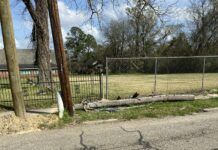 Baton Rouge, PSC fed up with unsightly, abandoned utility poles