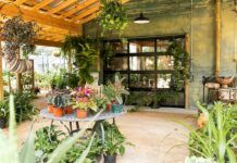 A look at the new businesses taking over the former Garden District Nursery