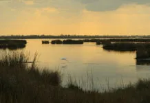 John Carmouche: Coastal lawsuits are ‘not a money grab’