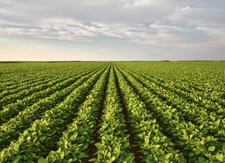 This LSU-born startup wants to build the next big thing in agriculture