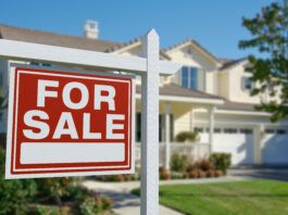 Falaya enters three new states as revenue and listings climb