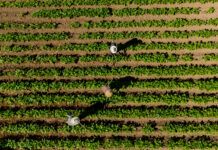 Baton Rouge startup wins $100K national ag innovation prize