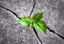 How leaders and their teams can stay grounded when everything feels uncertain