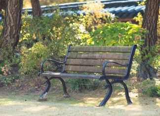 Two Cents: It’s time to eliminate waste in our park system and invest in what works