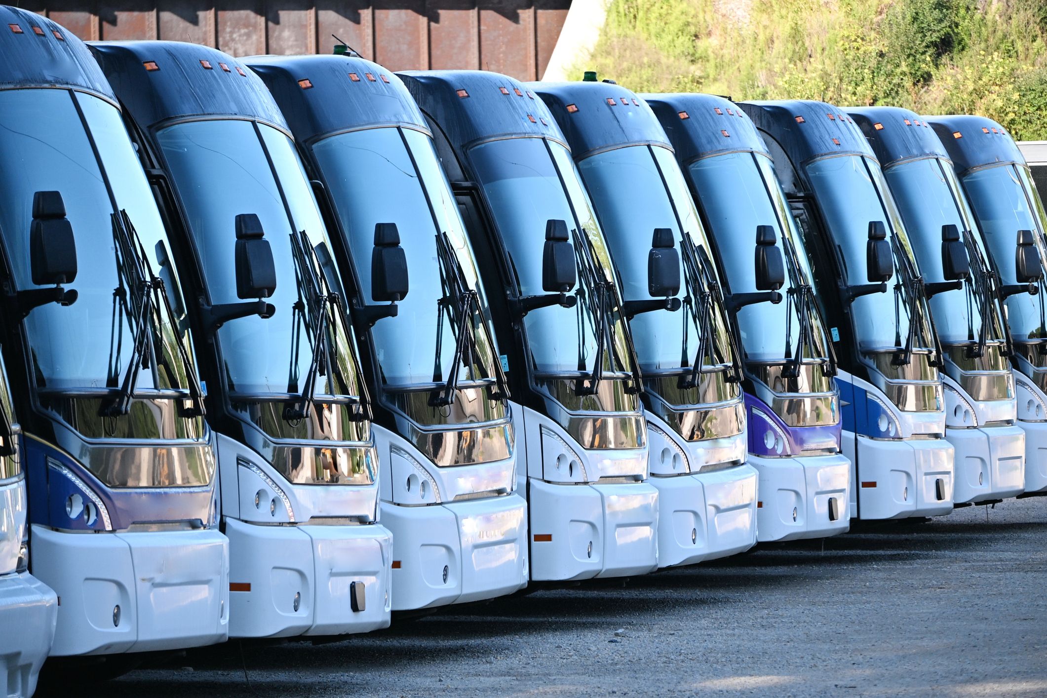 Buses