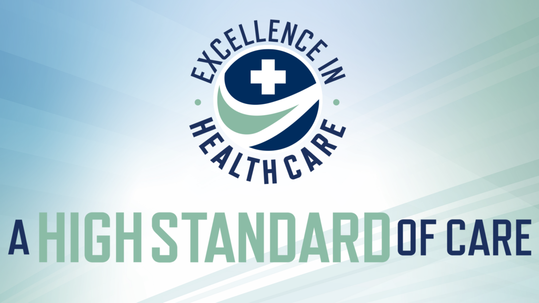 Excellence in Health Care cover