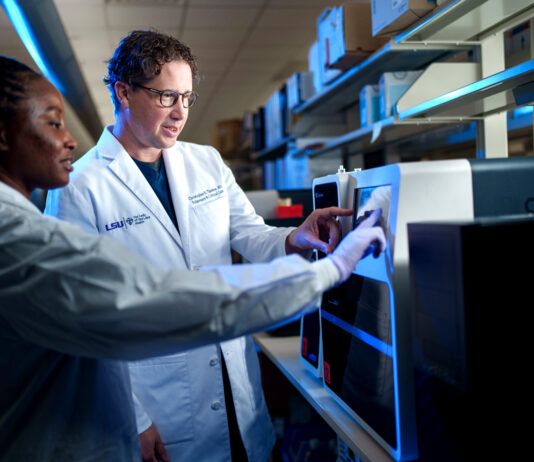 Business Report’s Excellence in Healthcare Awards honor the region’s top leaders